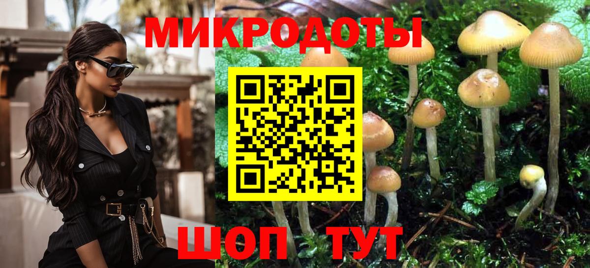 Галлюциногенные грибы ЛСД Новокубанск